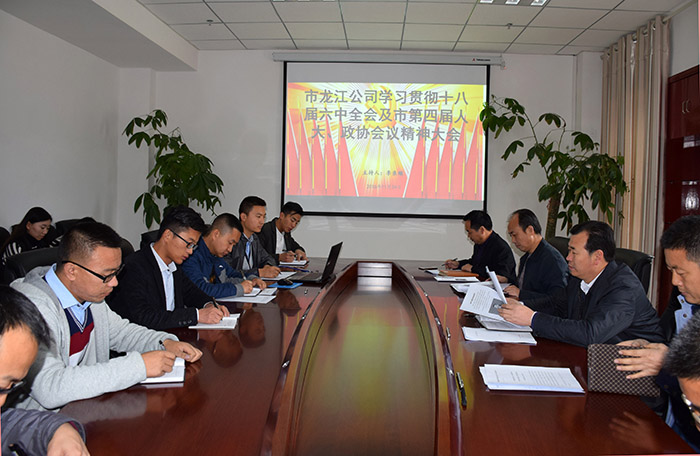 市龍江公司召開全體員工大會，專題傳達學(xué)習上級會議精神