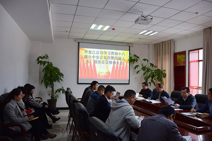 市龍江公司召開全體員工大會，專題傳達學(xué)習上級會議精神